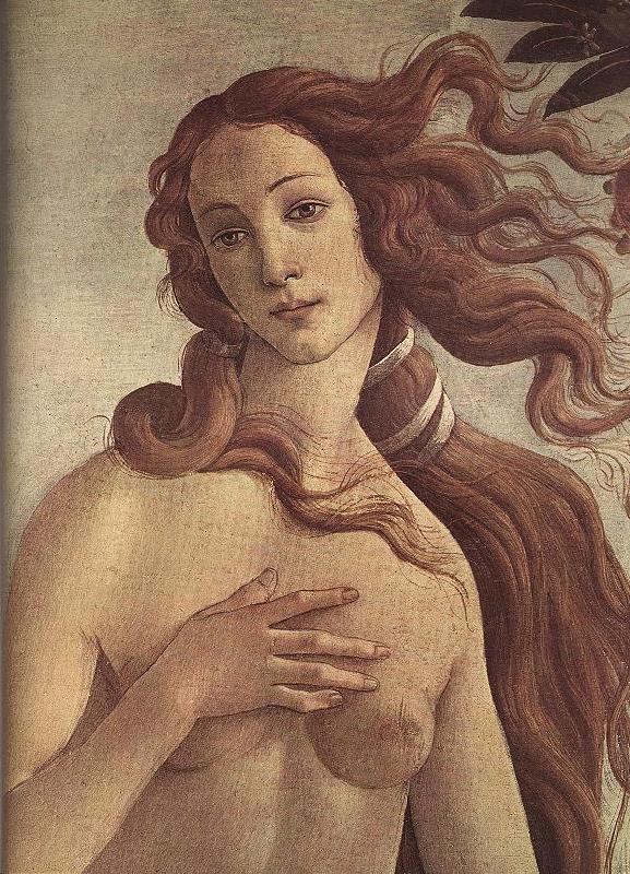 BOTTICELLI, Sandro The Birth of Venus (detail) ff oil painting picture